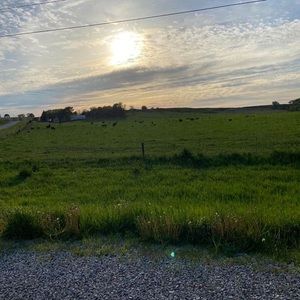 Meet your Posher, Lea